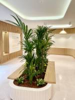 Flavia CAVALLARI - SAOMA ARCHITECTES SARL